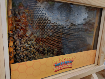 1000067379copy3504x2628