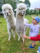 IMG20250715090437