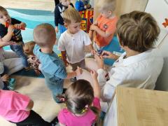 IMG20250917094847copy1104x828