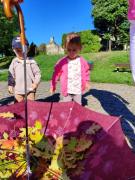 IMG20250922094526copy384x512