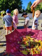 IMG20250922094529copy1500x2000