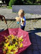 IMG202509220946561copy1485x1980