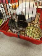 MessengercreationE2B1C8DE-325F-4D6C-96A5-806997824F86